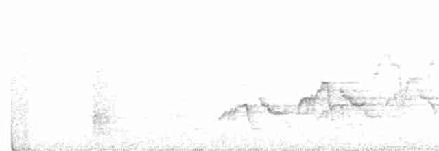 Дрізд-короткодзьоб Cвенсона - ML611877164