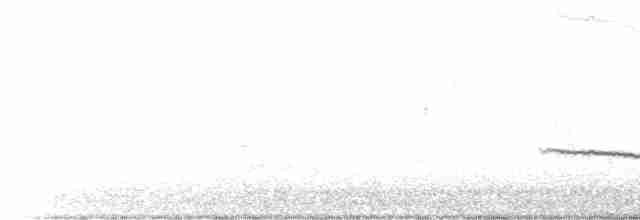 Белобровая овсянка (leucophrys/oriantha) - ML611878386