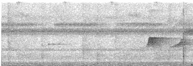 Augenstreif-Schnäppertyrann (duidae) - ML611880894
