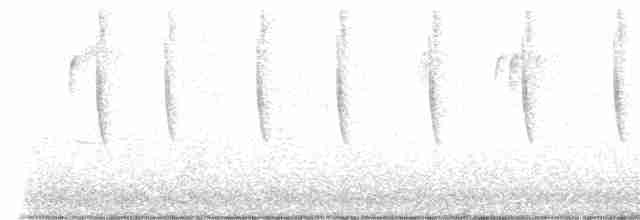 Широкохвостый колибри - ML611883122