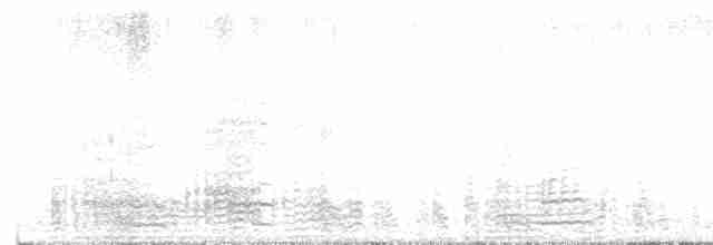 Чёрная казарка (hrota) - ML611885308