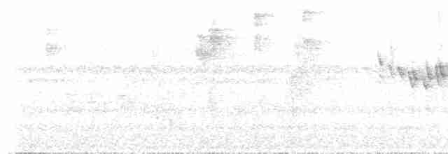 Коронник смугастоголовий (підвид daedalus) - ML611887054