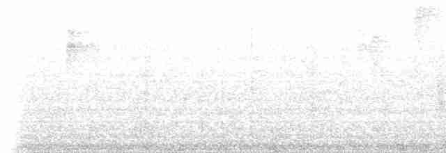Ockerbrillen-Blattspäher (temporalis) - ML611887326