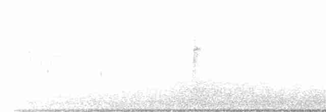 Белобровая овсянка (leucophrys/oriantha) - ML611888545
