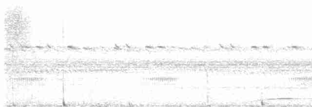 White-throated Nightjar - ML611890971