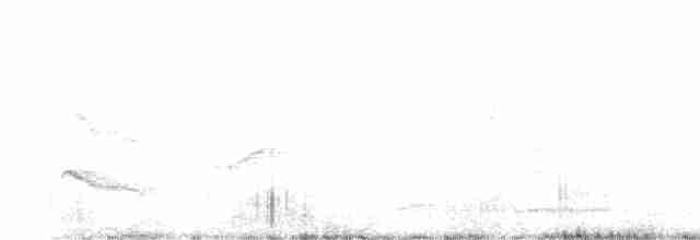 White-crested Elaenia - ML611898251