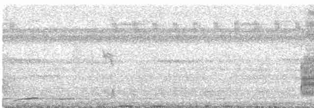 Copetón de Swainson (phaenotous) - ML611903963
