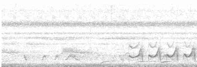 Лінивка плямистогруда - ML611903974