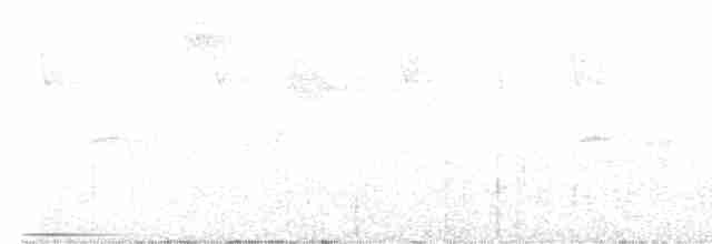 Голубок білогорлий - ML611909007