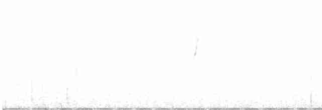 Chihuahuan Meadowlark - ML611909603