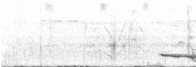 Kara Karınlı Çıtkuşu - ML611915908
