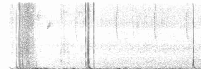 Широкохвостый колибри - ML611916366
