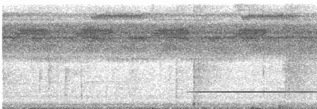 Variegated Tinamou - ML611916588