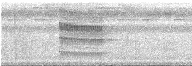 Серохохлая чубатка - ML611916652
