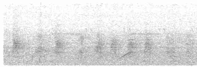 אנפית בקר מערבית - ML611918140
