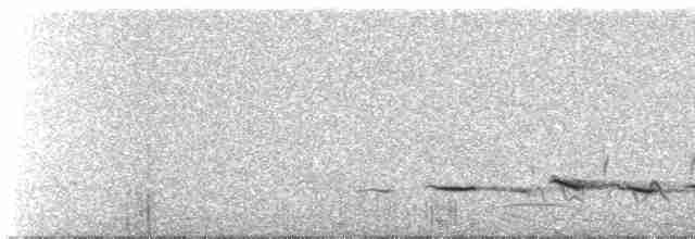 Белобровый торорой - ML611919288