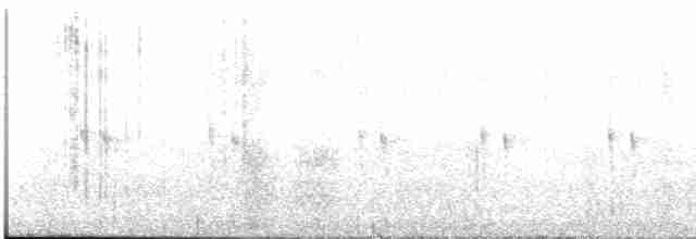 Beyaz Gerdanlı Dalkoşarı - ML611924075