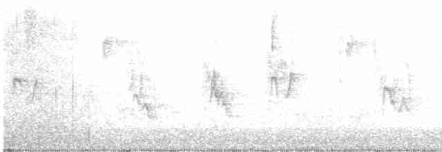דרור הבית - ML611924585