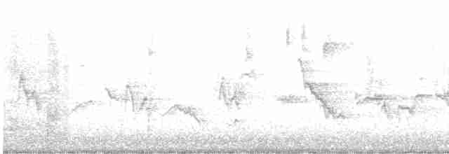 House Finch - ML611924586