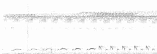 Spotted Nightjar - ML611927504