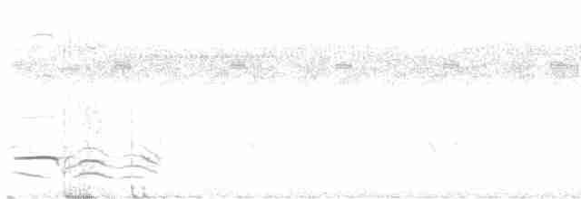 Gray-crowned Babbler - ML611927543