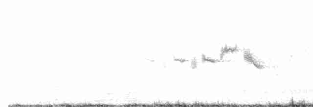 Black-throated Gray Warbler - ML611927773