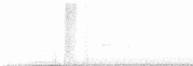 Гигантская иглоногая сова - ML611928286