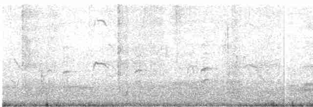 斑文鳥 - ML611932741