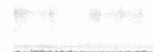 Золотистая ржанка - ML611938768