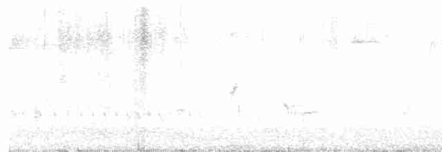 Blue Jay - ML611940168