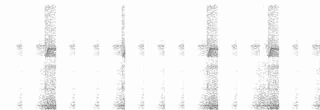 Зелоногрудый фиалкоух - ML611940368