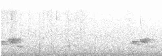 Серогрудый крапивник - ML611940753