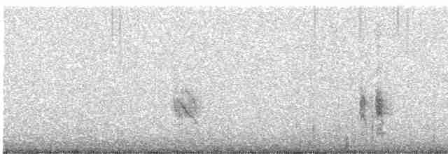 Kara Kanatlı Kar Serçesi - ML611941088