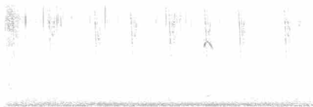 Голкохвіст сірочеревий - ML611942935