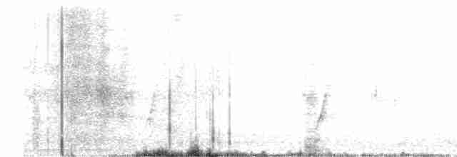 斑胸秧雞 - ML611943702