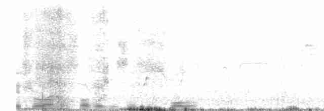 斑胸秧雞 - ML611943704