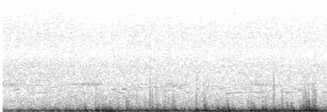 Kulaklı Karabatak - ML611951459