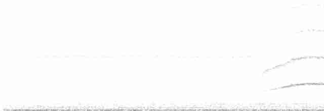Tufted Antshrike - ML611951486