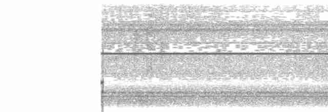 Grünbrust-Mangokolibri - ML611958360