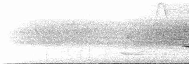 Kara Gerdanlı Çıtkuşu - ML611958933