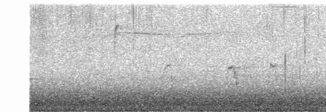 Дрізд-короткодзьоб плямистоволий - ML611960854