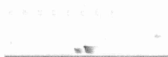 White-eared Honeyeater - ML611962451