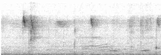 vintererle - ML611962654