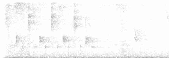 ノドジロハリオアマツバメ - ML611966769