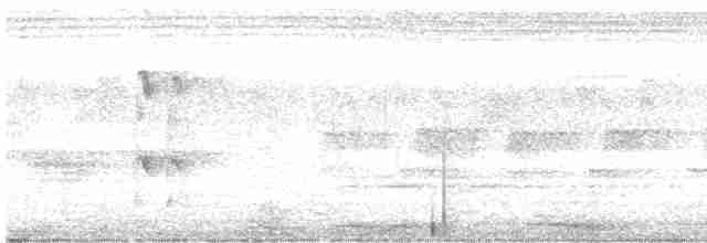 Alción de Esmirna - ML611969225