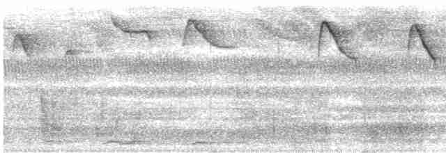 Коричневый колибри-отшельник - ML611970603