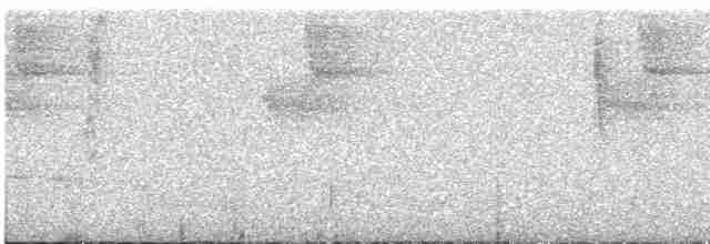 Зелоногрудый фиалкоух - ML611974012