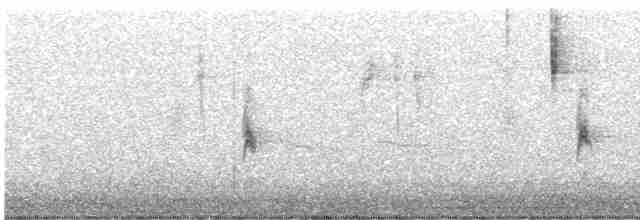 Song Sparrow - ML611976323