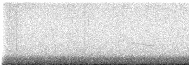 Дрізд-короткодзьоб плямистоволий - ML611977571