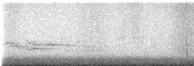 Münzevi Bülbül Ardıcı - ML611977572